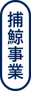 捕鯨事業