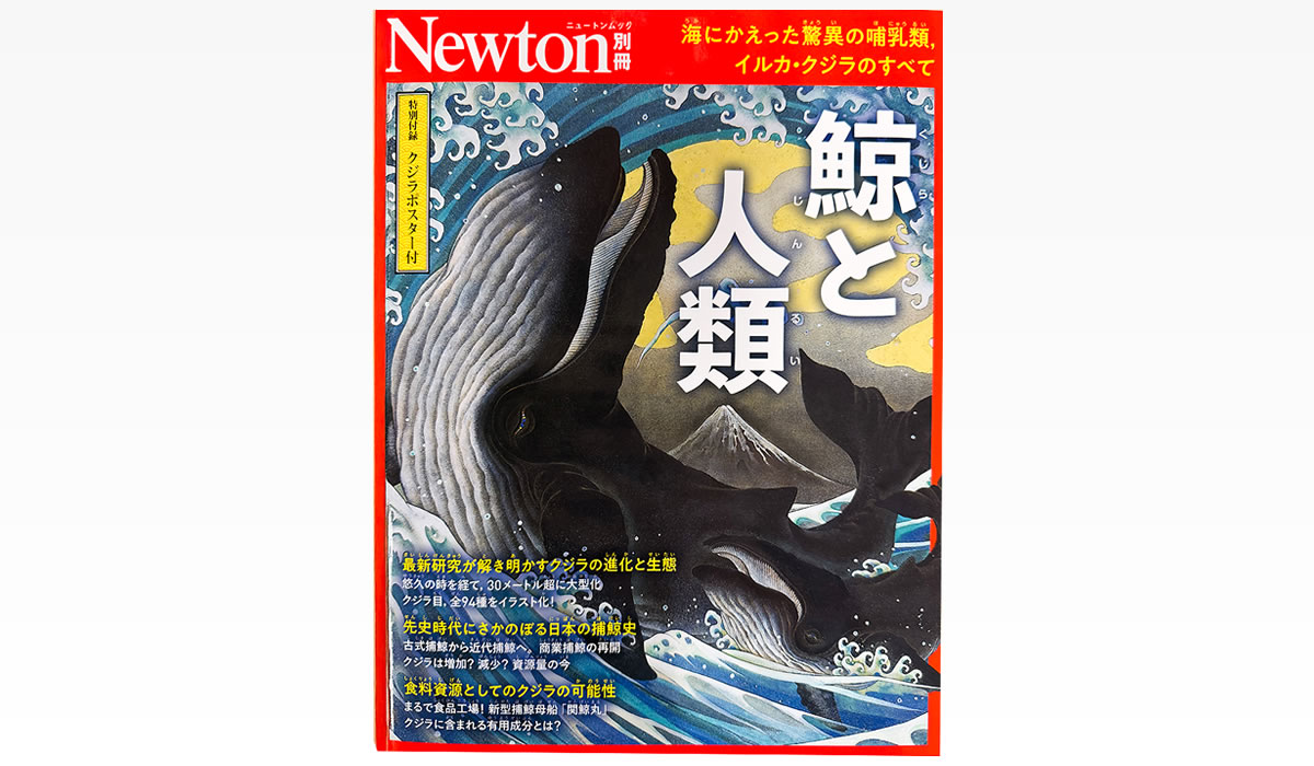 ニュートン別冊『鯨と人類』発刊