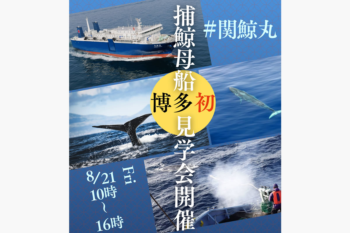 世界唯一の捕鯨母船「関鯨丸」博多港初入港！ <br>予約不要・無料の船内一般見学会を開催します