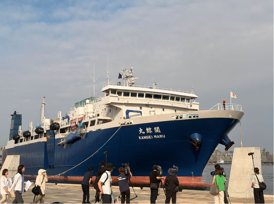捕鯨母船「関鯨丸」博多港に初入港<br>一般公開でクジラに親しむ機会に